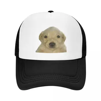 Jotchua meme бейзболна шапка за кучета jotchua, Шапка Голям Размер, Маркови Мъжки Шапки, шапки boonie, Дамски шапки 2023, Мъжки